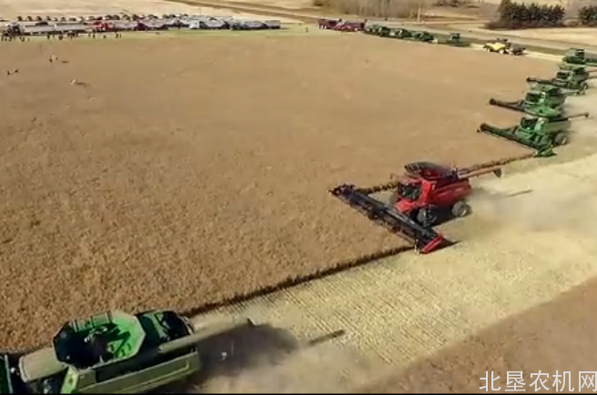 迪尔、凯斯、纽荷兰等多个品牌收获机同台竞技