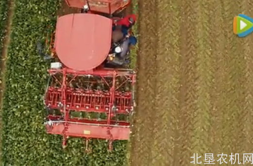 甜菜终结者——德国荷马HOLMER