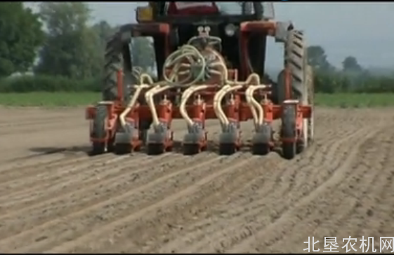 马斯奇奥gaspardo蔬菜播种机