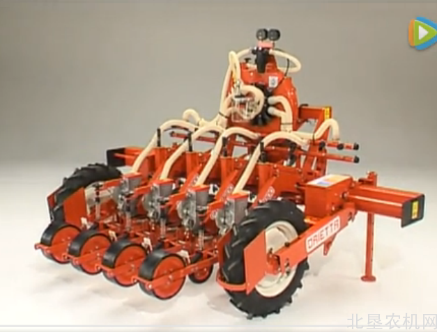 马斯奇奥orieta 蔬菜播种机