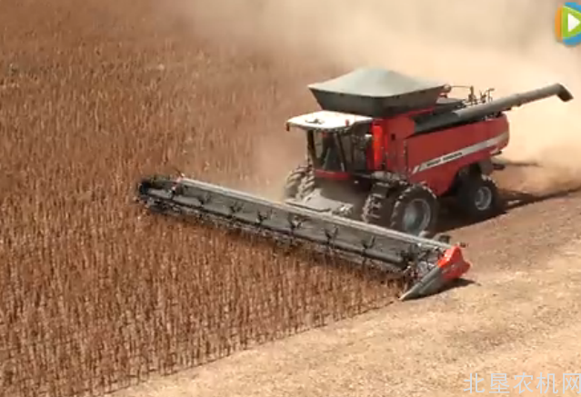 麦赛福格森MF 9895详细介绍