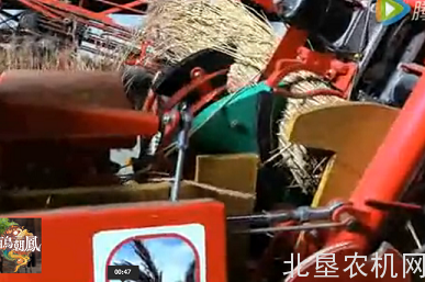 芦苇清选和捆扎设备