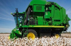 补品质短板 促供需对接 棉花产业要练好“硬功夫