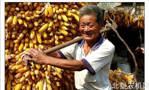 甘肃省关于加强农机职业技能开发工作的意见