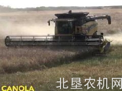 小蜜蜂AirFLEX45英尺割台收油菜