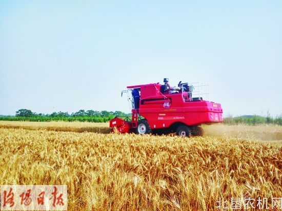 安徽科学调度农机抢收小麦 投入约15万台联合收