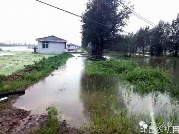 农业部继续组织做好抗洪防疫工作