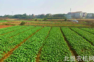 黑龙江省农业“三项补贴”改革启动