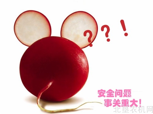 农业部发布上半年国家农产品质量安全 例行监测