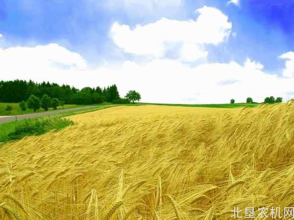 黑龙江省将创建“省级示范家庭农场” 同时满足