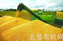 今年玉米收购市场的分析