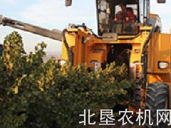 阿尔斯波6120葡萄收获机