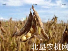 美公司对中国大豆提64项专利诉求