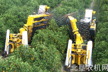 河北雷肯成功研发出中国第一台甜叶菊收获机