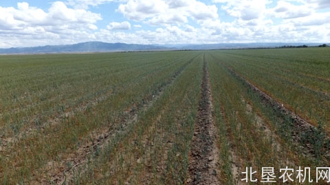 农业部：8省农作物受灾10297万亩，其中绝收1520万