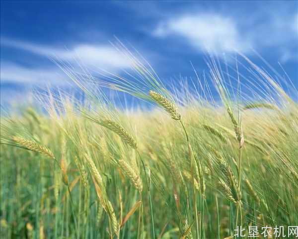 牧草机械化面临瓶颈 多项短板亟待补齐