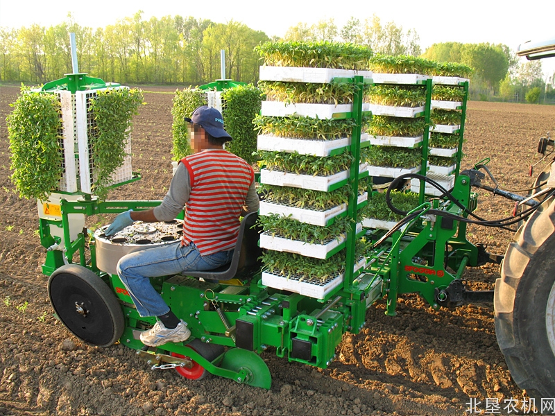 思弗佳Florida蔬菜移栽机