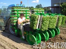 思弗佳California系列移栽机