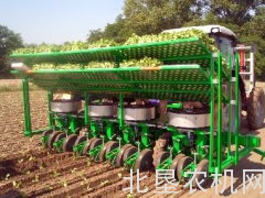 思弗佳C10-C12 F10-F12系列蔬菜移栽机