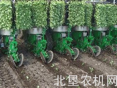 思弗佳秧苗栽培机