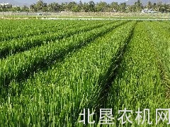 黑龙江省农机推广总站抢前抓早2017年度水稻高留茬秸秆还田技术示范项目启动迅速
