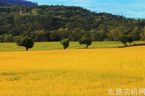 黑龙江省将建东北地区生态气象创新实验室