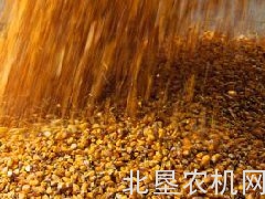正确使用玉米籽粒收获机的方法