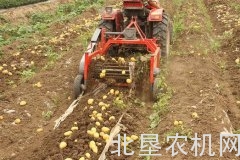 马铃薯主食产品有望带动我国农产品加工业增值亿元