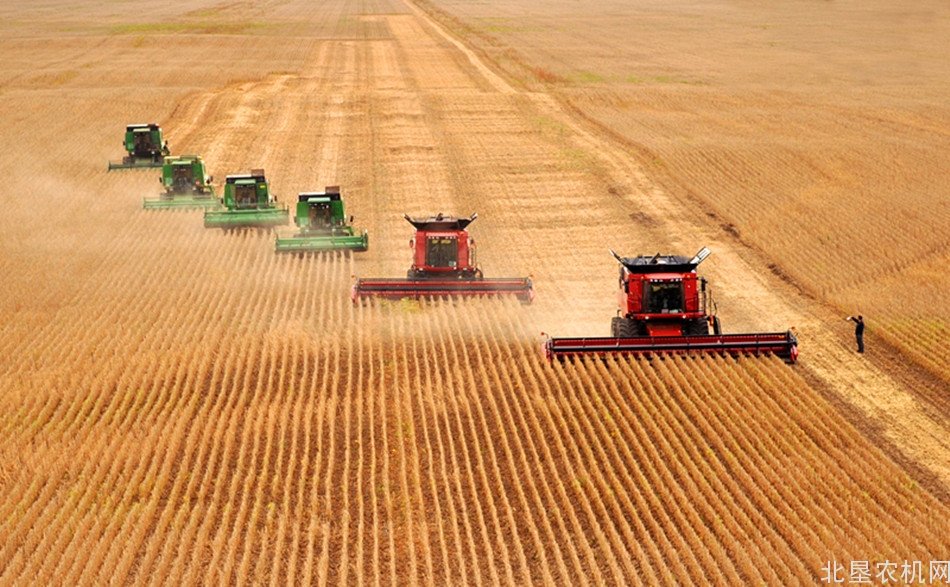 黑龙江农业结构调整成效显现