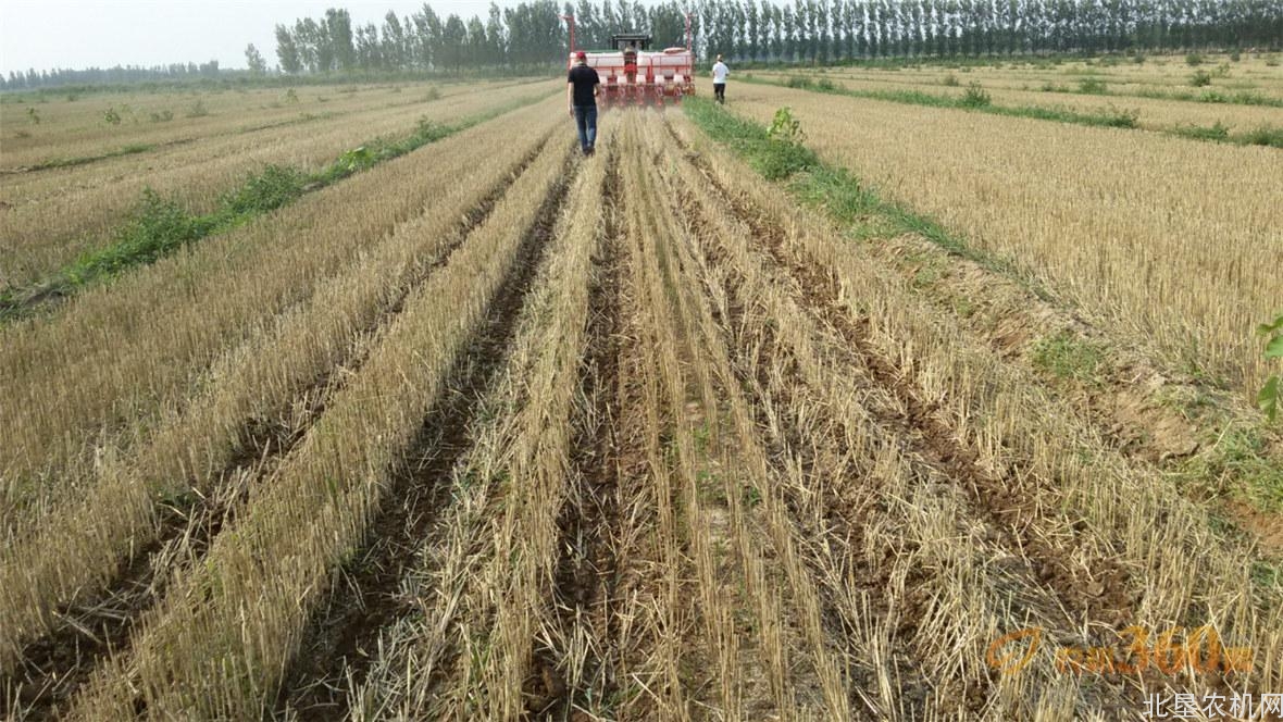 南京农机研究所成功研发免耕播种新技术