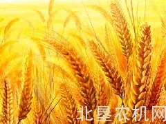 无锡抢种“利器”小麦条播机受欢迎