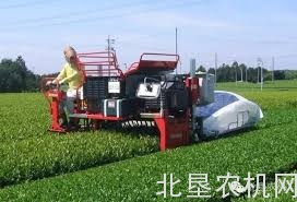 我国茶园生产正加快机械化