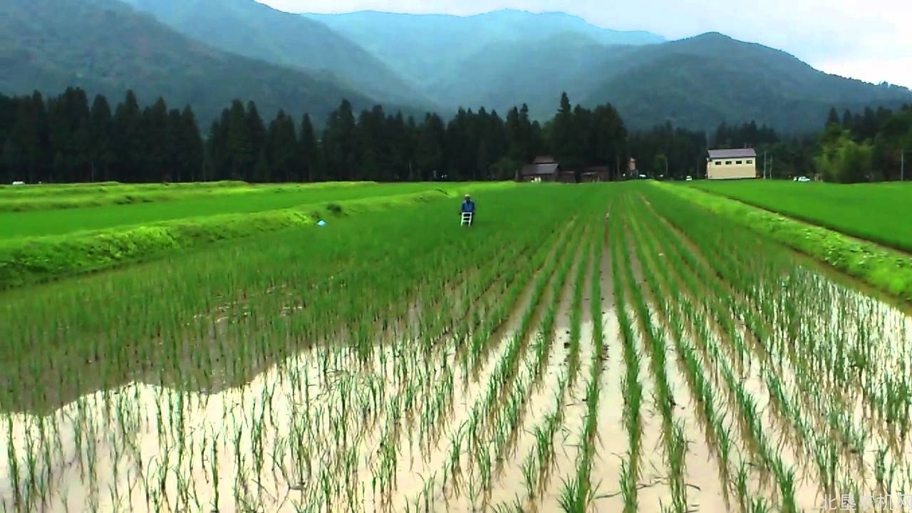 水田保护性耕作探索出新机械化方式