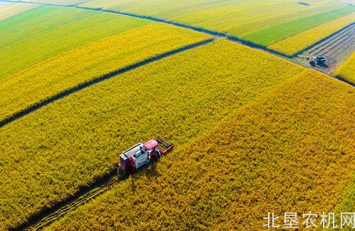 我国水稻机械化直播技术体系日臻完善