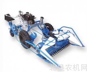 吉林省镇赉县芦苇收割用上“洋机器”