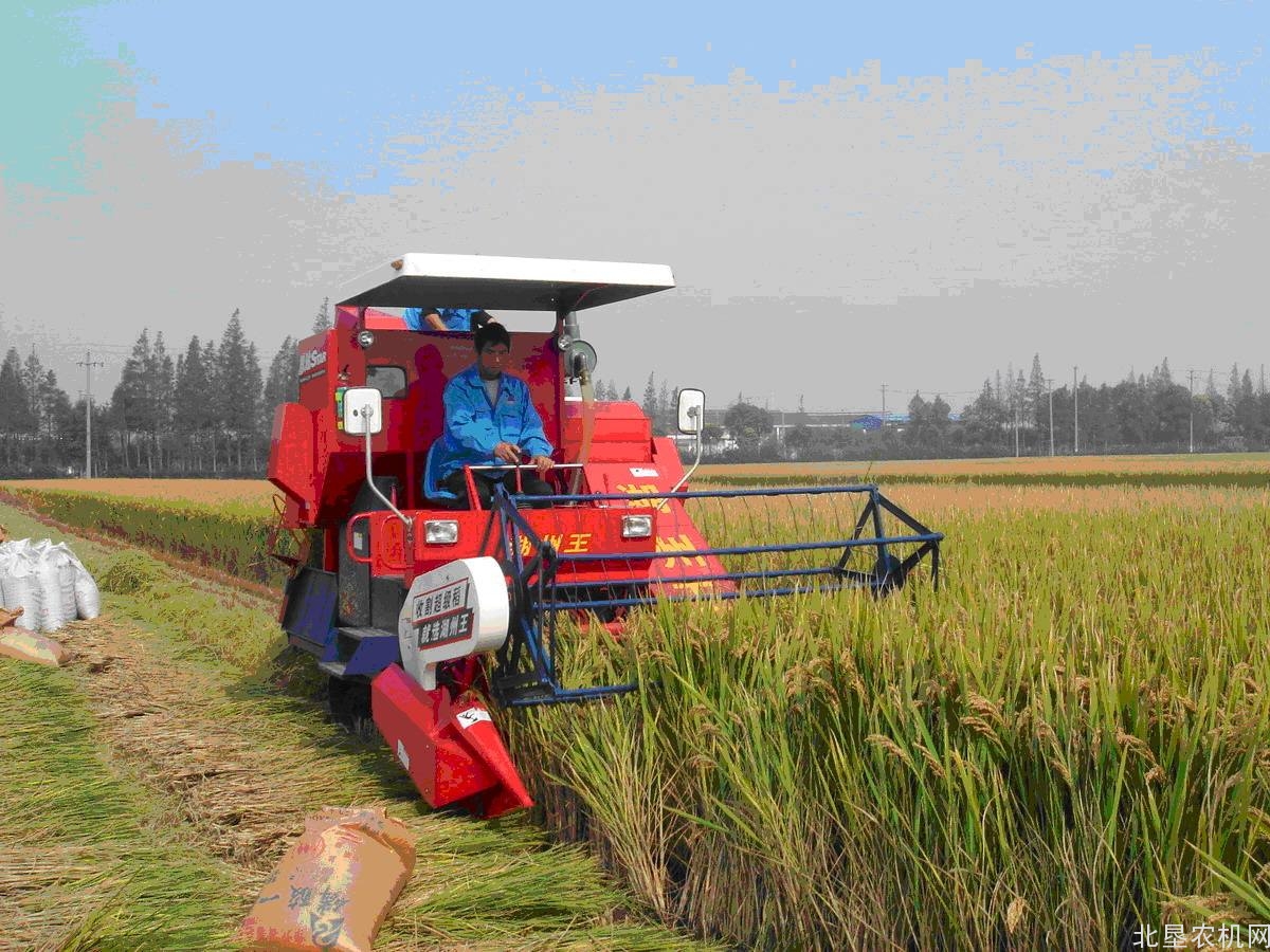 降低农机化生产投入 农机农艺深度融合是关键