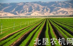 尊村引黄工程：全力推进现代化灌区建设