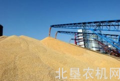 麻涌启动粮油 物流“倍增”计划