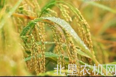新规：粮食收购资格已免办理