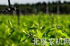 “十三五”全国新增高效节水灌溉面积1亿亩