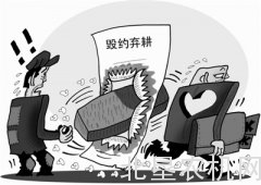 毁约弃耕并非无解 探索适度规模经营新模式