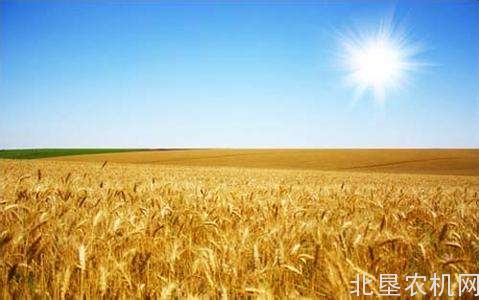 科学应对旱涝灾害保障粮食和农业丰收预案