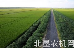 《意见》发布 推动高标准农田建设迈上新台阶
