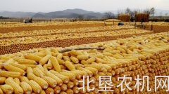 4、5月份玉米价格或再度回落