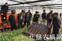 农业部南京农机化所叶菜收获机填补国内研究空白