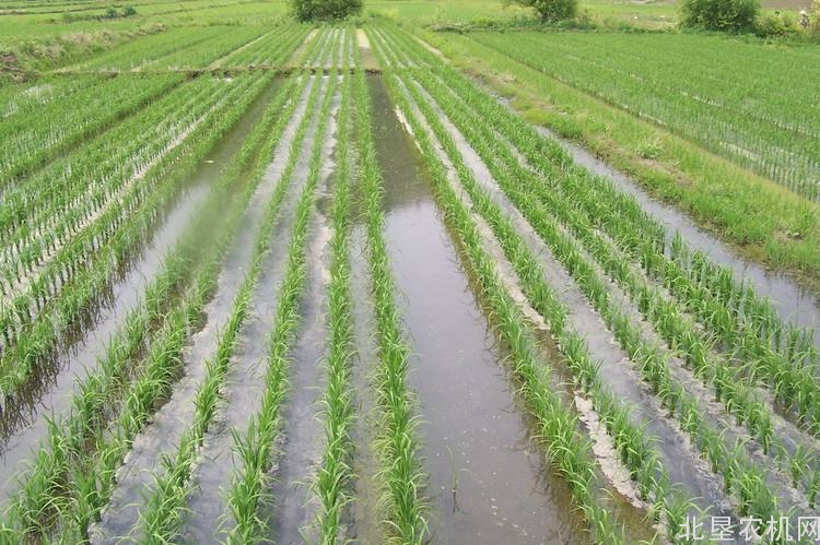 国内首创——水稻插秧同步精量施肥机