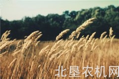 麦收夏种的季节 农机安全不容忽视