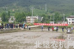 机插秧技术受湖北房县农民青睐