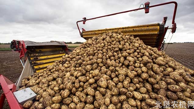 寒地马铃薯高产栽培播种现场会召开