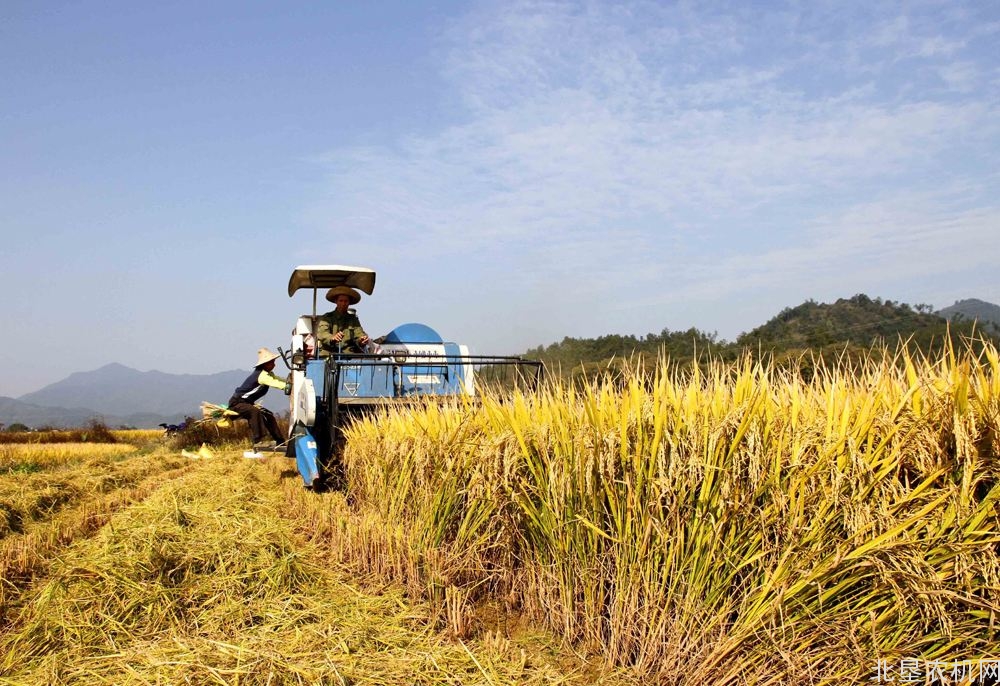 借鉴德国农业职业教育经验 培育新型职业农民